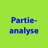 Partieanalyse