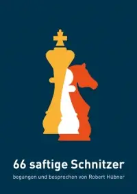 Robert Hübner: 66 saftige Schnitzer